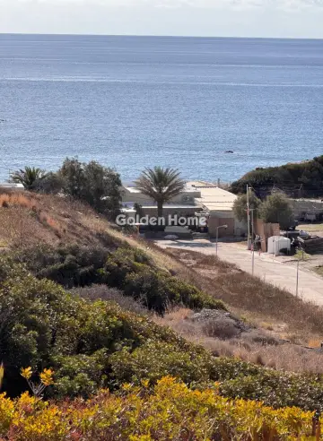Αγροτεμάχιο 4025τ.μ. προς πώληση φωτογραφία 5229992