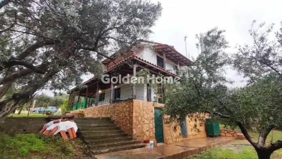 Golden Home Property Image