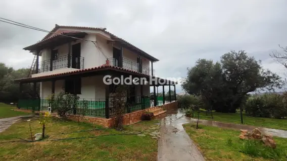 Golden Home Property Image