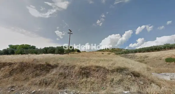 土地 310000m<sup>2</sup> for sale photo 1