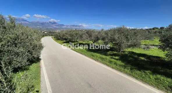 Golden Home Property Image