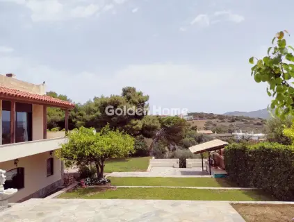 Golden Home Property Image