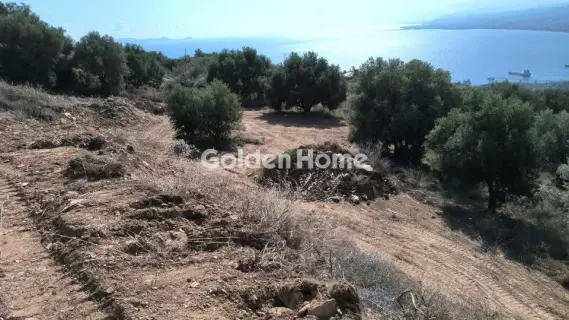 Residential 4575m<sup>2</sup> for sale photo 2