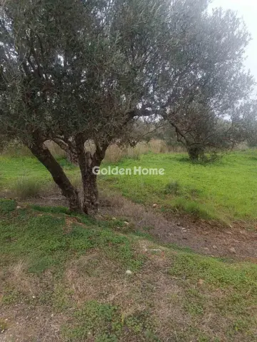 Οικιστικό 2800τ.μ. προς πώληση φωτογραφία 2