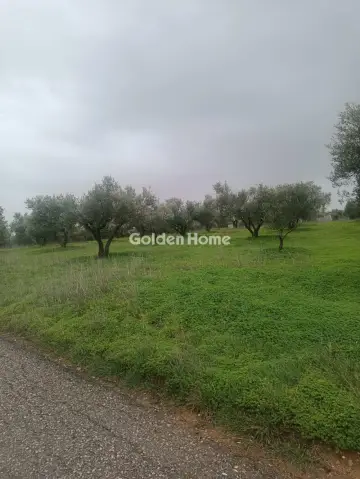 Οικιστικό 2800τ.μ. προς πώληση φωτογραφία 3