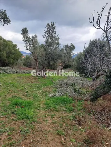 Residential 3724m<sup>2</sup> for sale photo 5237084