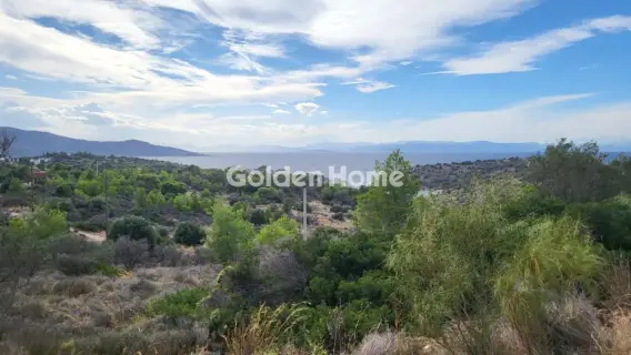 Residential 325m<sup>2</sup> for sale photo 1