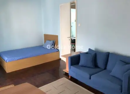 Penthouse 30m<sup>2</sup> for rent photo 3