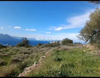 Residential 5945m<sup>2</sup> for sale photo 5286326