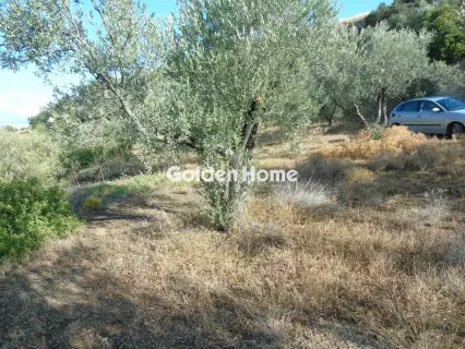 Parcel 550m<sup>2</sup> for sale photo 5283108