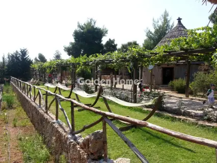 Hotel 13000m<sup>2</sup> for rent photo 5519620