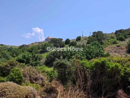 Οικιστικό 4100τ.μ. προς πώληση φωτογραφία 2