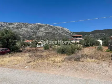 Residential 340m<sup>2</sup> for sale photo 4