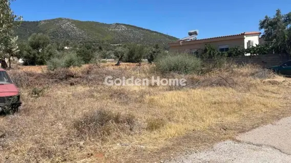 Residential 340m<sup>2</sup> for sale photo 6