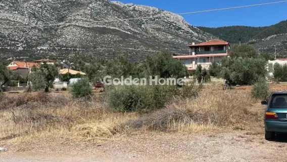 Golden Home Property Image