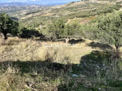 Residential 3000m<sup>2</sup> for sale photo 2