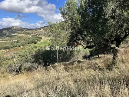 Residential 3000m<sup>2</sup> for sale photo 1