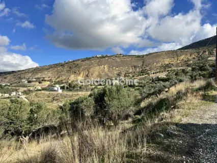 Residential 3000m<sup>2</sup> for sale photo 4