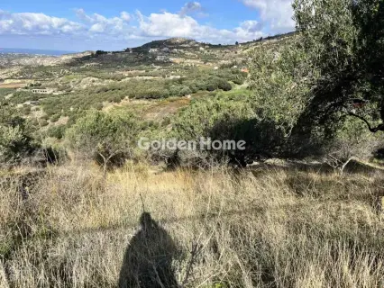 Residential 3000m<sup>2</sup> for sale photo 3