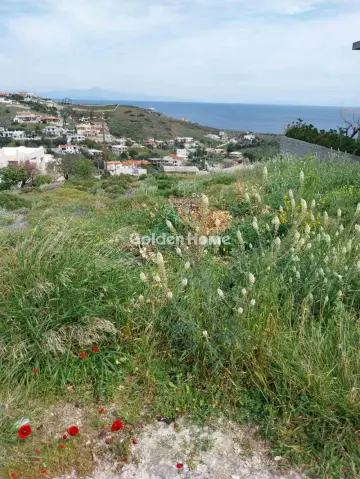 Parcel 559m<sup>2</sup> for sale photo 4