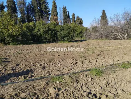 Οικιστικό 1834τ.μ. προς πώληση φωτογραφία 1