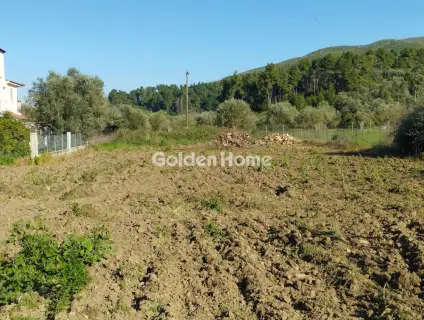 Οικιστικό 1834τ.μ. προς πώληση φωτογραφία 2