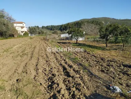 Οικιστικό 1834τ.μ. προς πώληση φωτογραφία 3