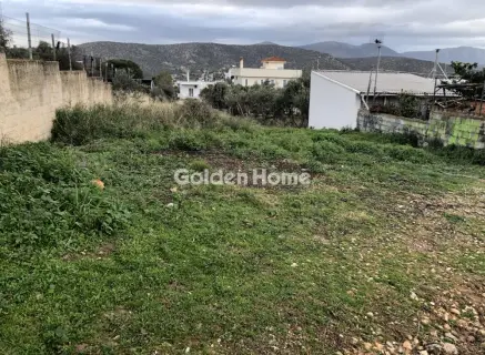 Residential 1000m<sup>2</sup> for sale photo 3