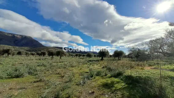 Golden Home Property Image