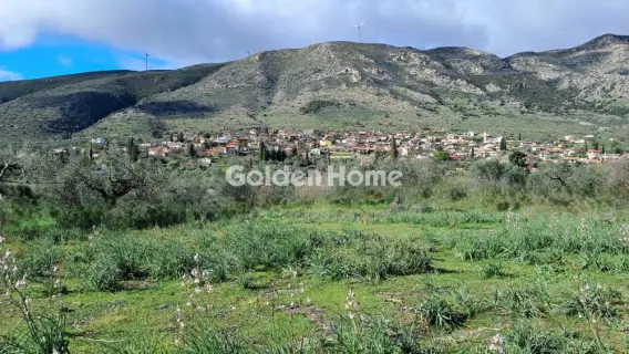 Golden Home Property Image
