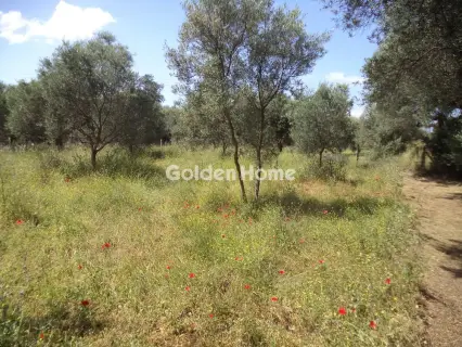 Parcel 1708m<sup>2</sup> for sale photo 4