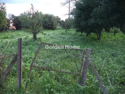 Residential 816m<sup>2</sup> for sale photo 5248289