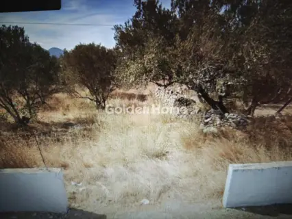 Οικιστικό 6638τ.μ. προς πώληση φωτογραφία 4