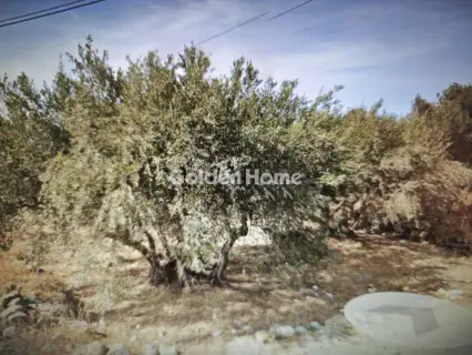 Οικιστικό 6638τ.μ. προς πώληση φωτογραφία 5260154