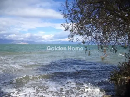 Οικιστικό 1798τ.μ. προς πώληση φωτογραφία 5302048