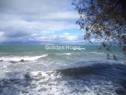 Οικιστικό 1798τ.μ. προς πώληση φωτογραφία 5302049