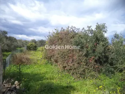 Οικιστικό 1798τ.μ. προς πώληση φωτογραφία 5302050