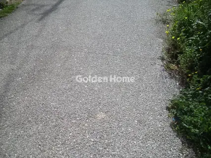 Οικιστικό 1798τ.μ. προς πώληση φωτογραφία 5302051