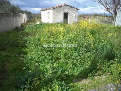 Οικιστικό 1798τ.μ. προς πώληση φωτογραφία 5302052