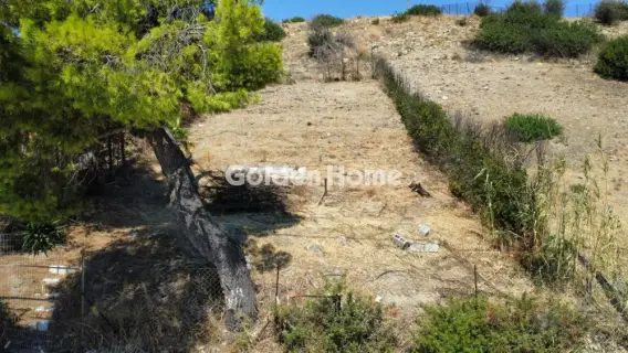 Residential 277m<sup>2</sup> for sale photo 3