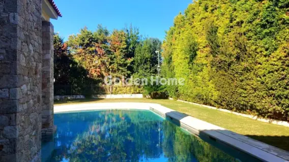 Μονοκατοικία 440τ.μ. προς πώληση φωτογραφία 243