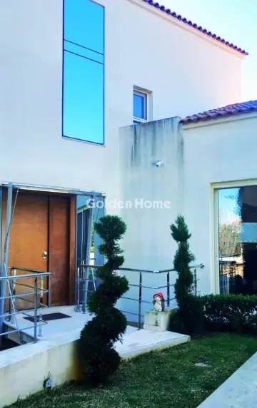 Μονοκατοικία 440τ.μ. προς πώληση φωτογραφία 245