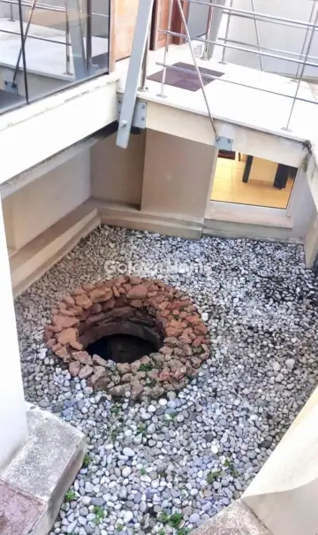 Μονοκατοικία 440τ.μ. προς πώληση φωτογραφία 247