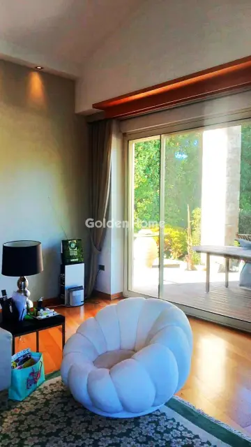 Μονοκατοικία 440τ.μ. προς πώληση φωτογραφία 257