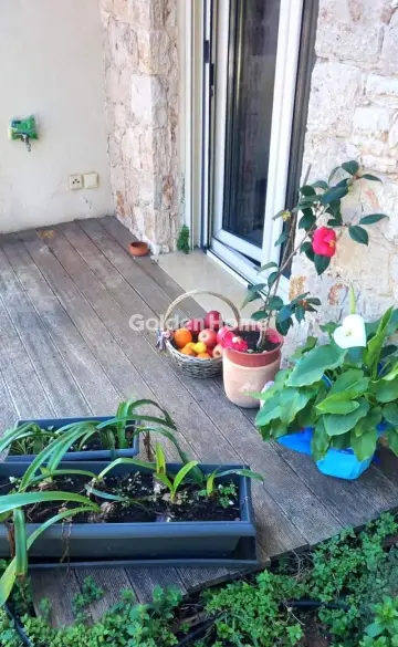 Μονοκατοικία 440τ.μ. προς πώληση φωτογραφία 278