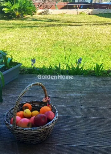 Μονοκατοικία 440τ.μ. προς πώληση φωτογραφία 279