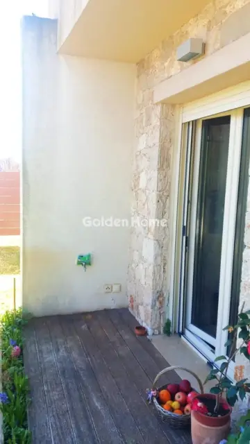 Μονοκατοικία 440τ.μ. προς πώληση φωτογραφία 280