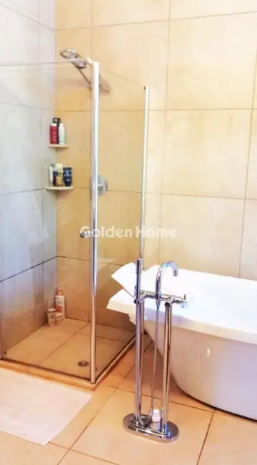 Μονοκατοικία 440τ.μ. προς πώληση φωτογραφία 293