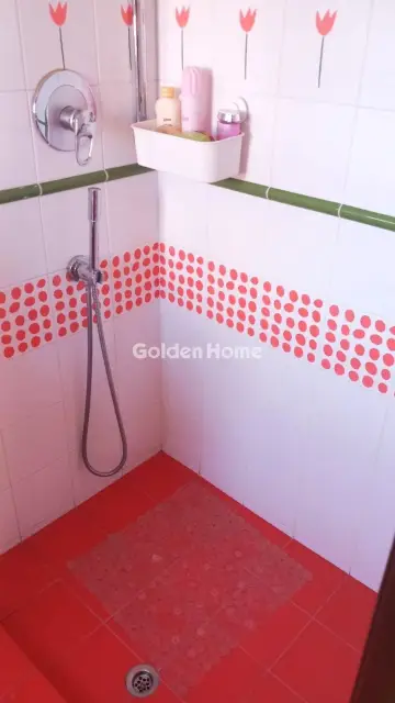 Μονοκατοικία 440τ.μ. προς πώληση φωτογραφία 300