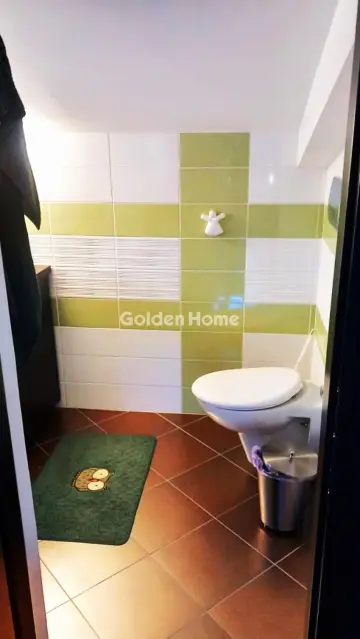 Μονοκατοικία 440τ.μ. προς πώληση φωτογραφία 310